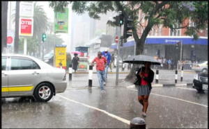 people walking in the rain